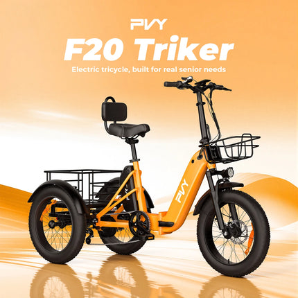 Triciclo Elettrico con Pneumatici Fat da 20*4.0 Pollici, E-bike da Carico PVY F20 con Robusto Cesto Posteriore, Motore da 1000W, Coppia di 80N.M, Forcella Ammortizzata Bloccabile, Carico Massimo 150kg
