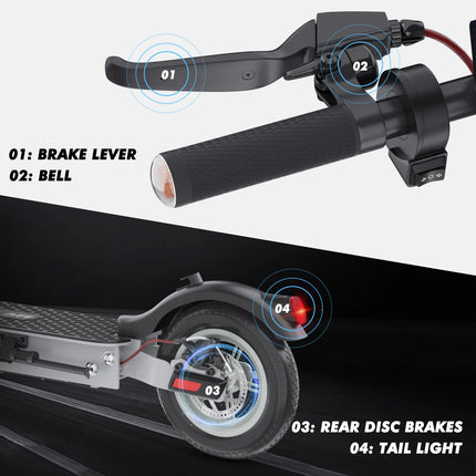 Scooter elettrico IENYRID M1 250W 36V 12,5 AH Batteria Pneumatici da città da 10 pollici Display digitale intelligente a LED Scooter da città per adulti
