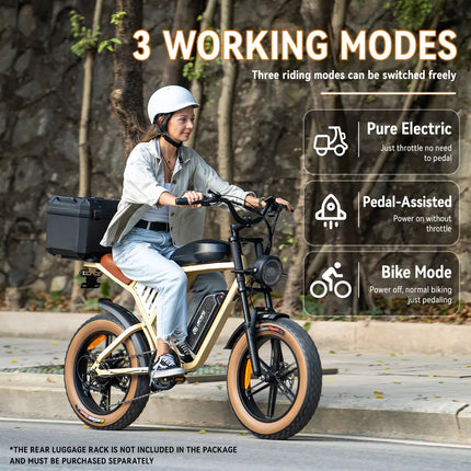 Bicicletta Elettrica per Adulti JANSNO X70G 750W 48V 37AH con Doppia Batteria Rimovibile, Pneumatici Fat da 20 Pollici, E-Bike Fuoristrada per Tutti i Terreni