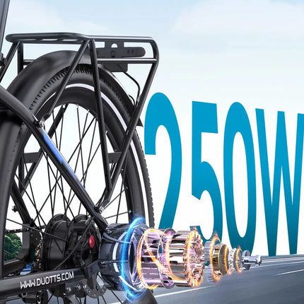 Bicicletta Elettrica DUOTTS C29 Max con Motore da 250W, Batteria 48V18AH, Freno a Disco Idraulico, Pneumatici da 29 Pollici, E-bike per Pendolari Urbani