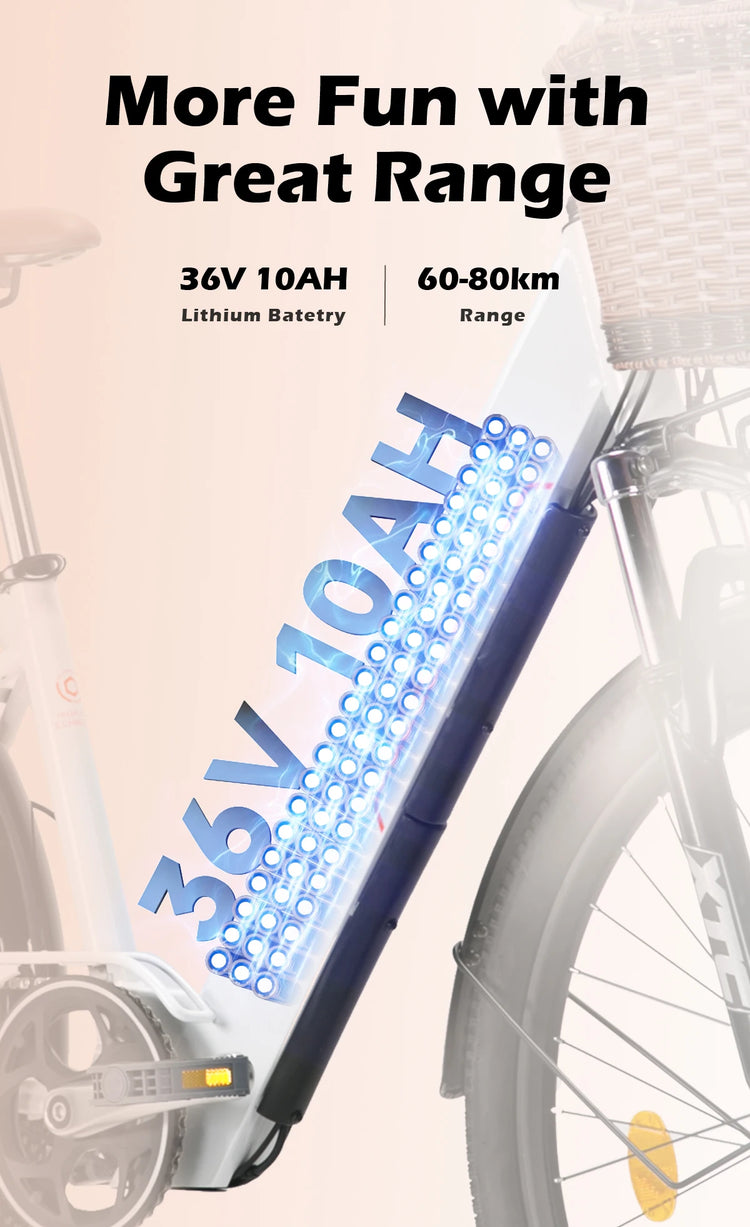 Bicicletta Elettrica Cityrun per Adulti, 26 Pollici, Unisex, Motore 250W, Batteria 36V/10Ah, Velocità Massima 25 km/h, Pedalata Assistita, Autonomia 70-90 km.
