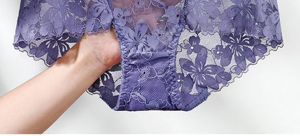 Transparent Lace Briefs Women Panties Girls Summer Underpants Plus Size Underwear Solid Color Sexy Lingerie XXL