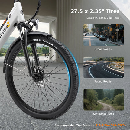 PURE UNICORN U2 Bicicletta Elettrica 48V 750W, 45km/h, E-bike per Adulti, 12.8Ah, Bici Elettrica da Città Economica per Donna, Spedizione Gratuita