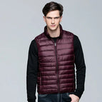 Wine Red Color