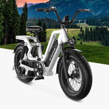 Bicicletta Elettrica G-FORCE RS ST per Tutti i Terreni, Potenza 750W, Batteria 48V15Ah, Bici Elettrica per Adulti, Pneumatici Larghi 20*4 Pollici per Tutti i Terreni