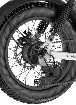 Bicicletta Elettrica G-FORCE RS ST per Tutti i Terreni, Potenza 750W, Batteria 48V15Ah, Bici Elettrica per Adulti, Pneumatici Larghi 20*4 Pollici per Tutti i Terreni
