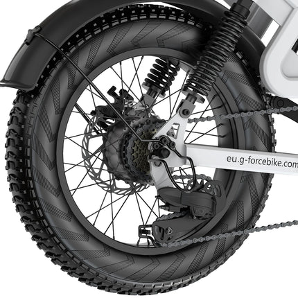 Bicicletta Elettrica G-FORCE RS ST per Tutti i Terreni, Potenza 750W, Batteria 48V15Ah, Bici Elettrica per Adulti, Pneumatici Larghi 20*4 Pollici per Tutti i Terreni