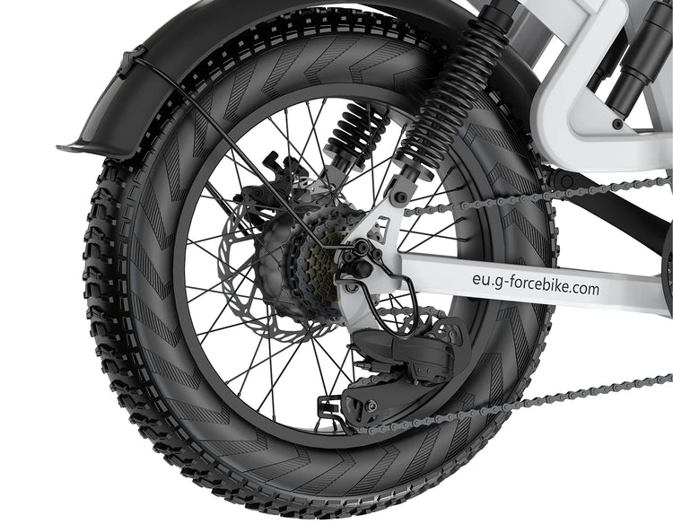 Bicicletta Elettrica G-FORCE RS ST per Tutti i Terreni, Potenza 750W, Batteria 48V15Ah, Bici Elettrica per Adulti, Pneumatici Larghi 20*4 Pollici per Tutti i Terreni