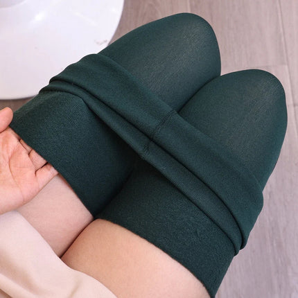 New Women Winter Thermal Leggings Warm High Waist Slim Thicken Velvet Tight Pants Pantyhose Fleece Stretchy Leggings Stockings PlatiNum