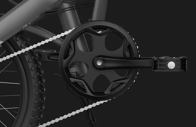 Biciclette Elettriche Pieghevoli PVY Z20 PRO EVO con Sensore di Coppia, 50N.m 250W 36V 14.5Ah Batteria per E-bike da Pendolarismo con App Intelligente
