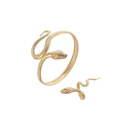 Offerta Speciale: Set di 2 Bracciali e Anelli a Forma di Serpente Punk, Bracciali Apribili a Spirale e Anelli per Dita, Gioielli per Mani Unisex platinumshop