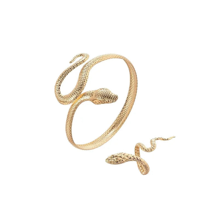 Offerta Speciale: Set di 2 Bracciali e Anelli a Forma di Serpente Punk, Bracciali Apribili a Spirale e Anelli per Dita, Gioielli per Mani Unisex platinumshop