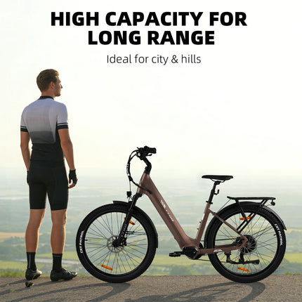 Bicicletta Elettrica TTGO Z3 27.5x2.4 " con Motore da 250W, Batteria 48V15AH, Freni a Disco Idraulici, E-Bike per Adulti, MTB Elettrica da Città