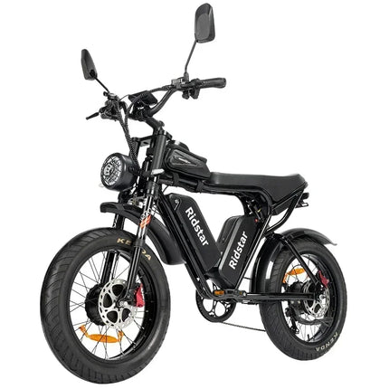 Ridstar Q20 Pro Ebike, doppio motore 2000 W, due batterie 40 Ah, velocità massima 60 KM/H, chilometraggio massimo 120 km in modalità PAS, bici spessa 20 * 4,0