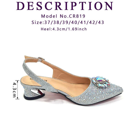 Venus Chan Royal Blue Sandals for Women 2024 Luxury Wedding Pumps Med Heels strass Design Party Shoes and Bags Set