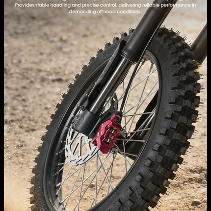 Bicicletta Elettrica da Montagna RICH BIT V9 Ultra, 48V 1500W (Picco 2500W), Batteria al Litio 20Ah, E-Bike ad Alta Velocità 60KM/H, Freno a Disco Idraulico, Bicicletta Fuoristrada a Lunga Autonomia
