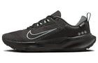 Nike Juniper Trail 2 GORE-TEX Black Cool Grey Sneakers Anthracite FB2065-001