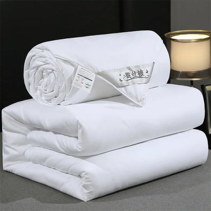 Piumino in seta di gelso naturale piumino matrimoniale King Size di lusso trapunta invernale estiva biancheria da letto singola coppia biancheria da letto