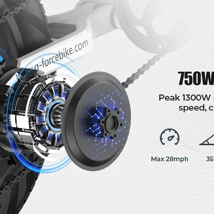 Bicicletta Elettrica G-FORCE RS ST per Tutti i Terreni, Potenza 750W, Batteria 48V15Ah, Bici Elettrica per Adulti, Pneumatici Larghi 20*4 Pollici per Tutti i Terreni