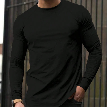 Men's All Seasons Plain Color Crew Neck Raglan Sleeve Long Sleeve Casual T-Shirt (Spring and Autumn) High-Quality Pure Cotton PlatiNum
