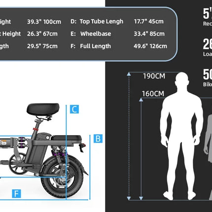TOOFLY GE5 Folding Electric Bicycle 250W Motor 48V15AH Removable Lithium Battery Electric Bike for Adults City Riding Commuting Ebike