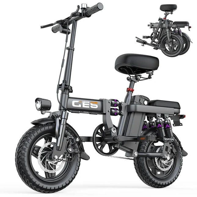 TOOFLY GE5 Folding Electric Bicycle 250W Motor 48V15AH Removable Lithium Battery Electric Bike for Adults City Riding Commuting Ebike