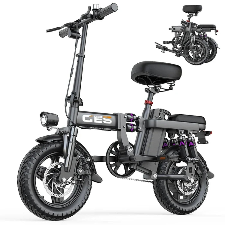 TOOFLY GE5 Bicicletta Elettrica Pieghevole 250W Motore 48V15AH Batteria Al Litio Rimovibile Bici Elettrica Per Adulti Città Equitazione Pendolarismo Ebike