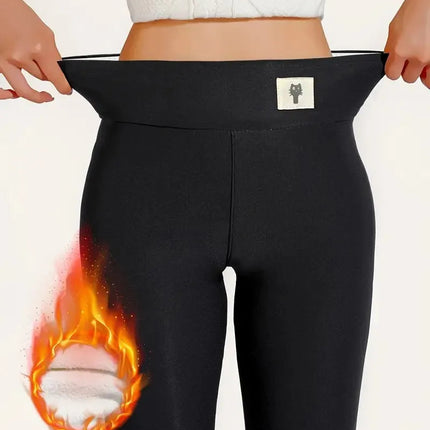 Winter Thicken Warm Leggings Women Lamb Cashmere Joggers High Waist Fleece Elastic Tights Warm Tights Pants Slim Velvet Legging PlatiNum