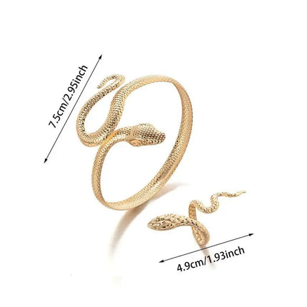 Offerta Speciale: Set di 2 Bracciali e Anelli a Forma di Serpente Punk, Bracciali Apribili a Spirale e Anelli per Dita, Gioielli per Mani Unisex platinumshop