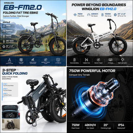 Nuova Bicicletta Elettrica Pieghevole WINGLION eb-fm2.0, Motore 720W, Batteria 48V 15AH, Pneumatici Larghi 20 "x4.0, Freno Idraulico, Ideale per Adulti, Città, Casa, Lavoro
