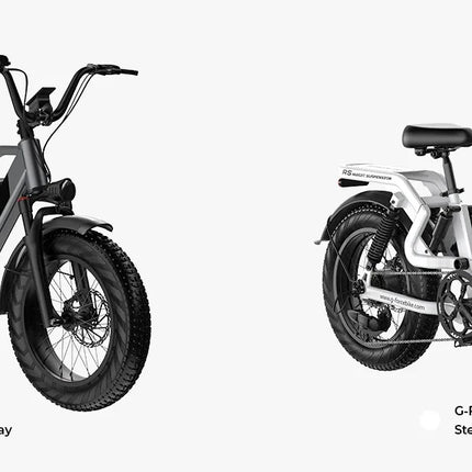 Bicicletta Elettrica G-FORCE RS ST per Tutti i Terreni, Potenza 750W, Batteria 48V15Ah, Bici Elettrica per Adulti, Pneumatici Larghi 20*4 Pollici per Tutti i Terreni