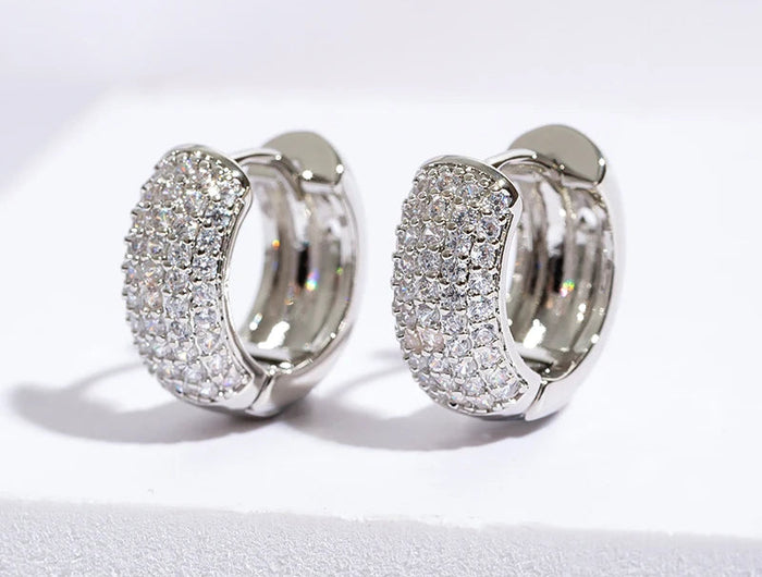 Luxury Full Zircon Multi-Row Sparkling Silver Color Hoop Earrings for Men Women Fashion Jewelry New Arrival PlatiNum