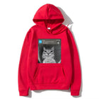 There Is Motion At Your Front Door Funny Silly Cat Meme Hot 2D Hoodie Men Women's Fleece vintage Sweatshirt Autumn Casual pullov