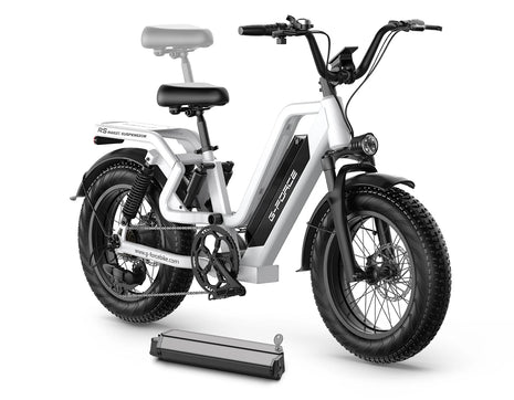 Bicicletta Elettrica G-FORCE RS ST per Tutti i Terreni, Potenza 750W, Batteria 48V15Ah, Bici Elettrica per Adulti, Pneumatici Larghi 20*4 Pollici per Tutti i Terreni