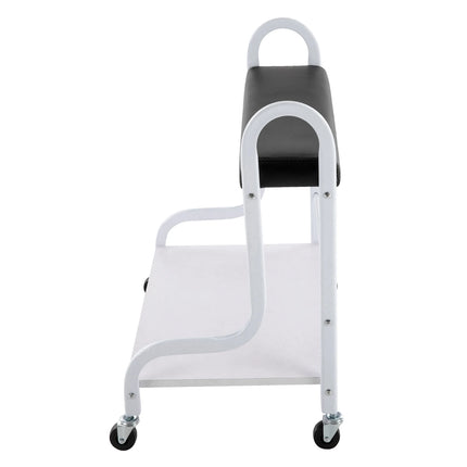 2-Tier Foot Bath Spa Trolley Cart Portable Pedicure Footrest with 4 Wheels Beauty Salon Nail Stand for Pedicures Massages Toenail Care, Load 100 kg/220.46 lbs