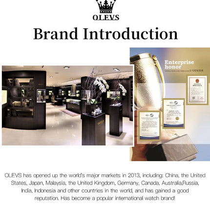 OLEVS Men's Classic Watches with Date Waterproof Luminous Luxury Big Dial Men's Wrist Dress Stainless Steel Men Watch