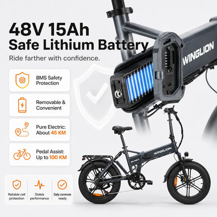 Nuova Bicicletta Elettrica Pieghevole WINGLION eb-fm2.0, Motore 720W, Batteria 48V 15AH, Pneumatici Larghi 20 "x4.0, Freno Idraulico, Ideale per Adulti, Città, Casa, Lavoro
