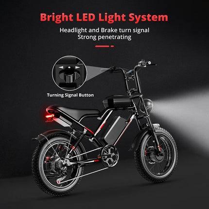 Bicicletta elettrica HiQiS S8 con motore da 25 km/h, 48V 25AH, doppia sospensione, pneumatici fat da 20 pollici, lunga autonomia di 50 km, e-bike per adulti
