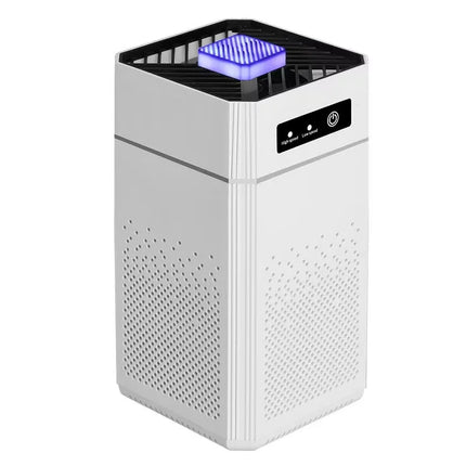 Purificatore d'aria portatile USB HOMEFISH con filtro per aromaterapia, fumo e odori, con filtro sostituibile per casa, auto e cucina