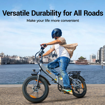 HillMiles Mile 2 Adulto 250W Motore 36V13AH Batteria Bicicletta Elettrica Pieghevole 20 pollici Fat Tire Città Pendolarismo Ebike