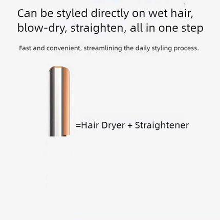 Tinsol 2-in-1 Air Hair Straightener And Dryer Negative Ion Hair Styler Long-Lasting Styling Tool Hairdryer Machine for Salon