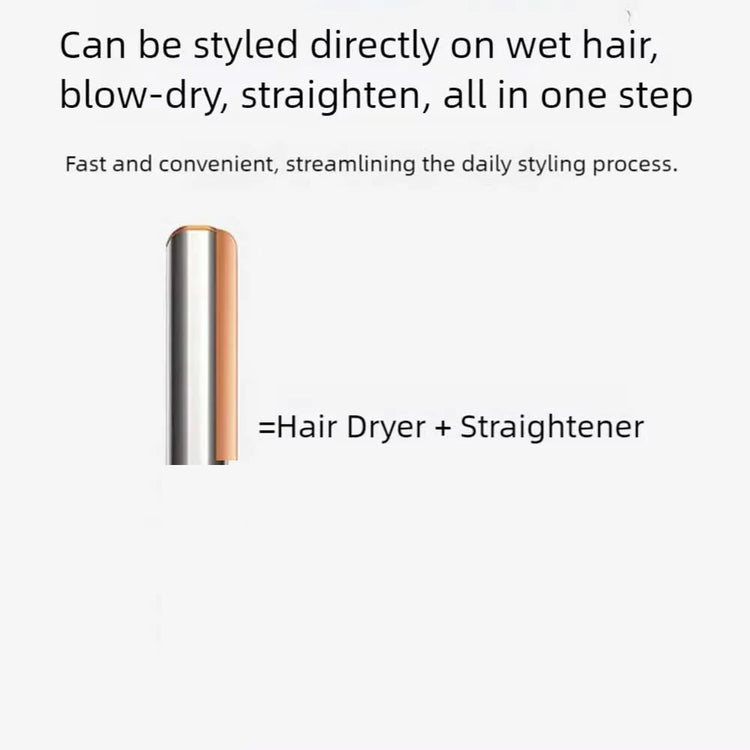 Tinsol 2-in-1 Air Hair Straightener And Dryer Negative Ion Hair Styler Long-Lasting Styling Tool Hairdryer Machine for Salon