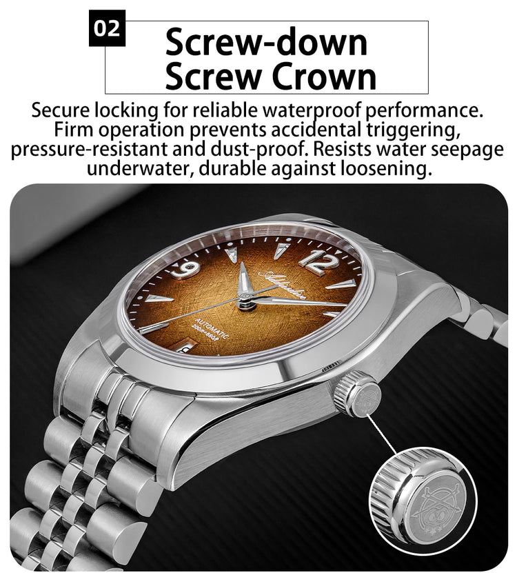 ADDIESDIVE Watch Sapphire New AD2560 Men Automatic Watches 8215 Mechanical Purple Dial Luminous Waterproof 200m Dive Wristwatch