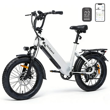 Bicicletta Elettrica Fat Tire Commuter Bodywel F20 500W 48V 15Ah con Autonomia 60-80KM, Pneumatici Fat 20"x3.0", 7 Velocità e Sospensione Anteriore per Adulti Urbani