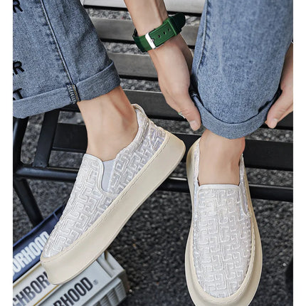 2025 Autumn New Fashion Shallow Mouth Casual Canvas Shoes for Men Breathable Comfortable Niche Design Versatile Chunky Sneakers