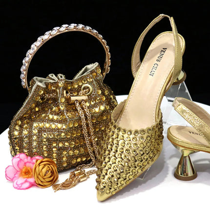 Venus Chan Pointed Toe Heels for Women 2023 Elegant Party Wine Color Full Diamond Pumps Italian Shoes and Bags Matching Set PlatiNum