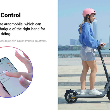 Monopattino Elettrico HIKERBOY CURTIS 350W 36V10.4Ah con Pneumatici da 10 Pollici, E-Scooter per Adulti, per Pendolari Urbani