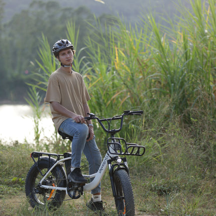 UNIVERCYCLE B5 VENERE Bici Elettrica per Adulti Motore 250W 25KM/H Batteria Rimovibile 48V 13AH Pneumatici Largi 20 Pollici E-Bike Freni a Disco Idraulici Telaio a Passo Basso Bici Elettrica per Pendolari Lunga Autonomia 55KM