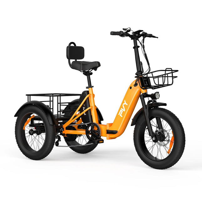 Triciclo Elettrico con Pneumatici Fat da 20*4.0 Pollici, E-bike da Carico PVY F20 con Robusto Cesto Posteriore, Motore da 1000W, Coppia di 80N.M, Forcella Ammortizzata Bloccabile, Carico Massimo 150kg