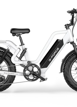 Bicicletta Elettrica G-FORCE RS ST per Tutti i Terreni, Potenza 750W, Batteria 48V15Ah, Bici Elettrica per Adulti, Pneumatici Larghi 20*4 Pollici per Tutti i Terreni